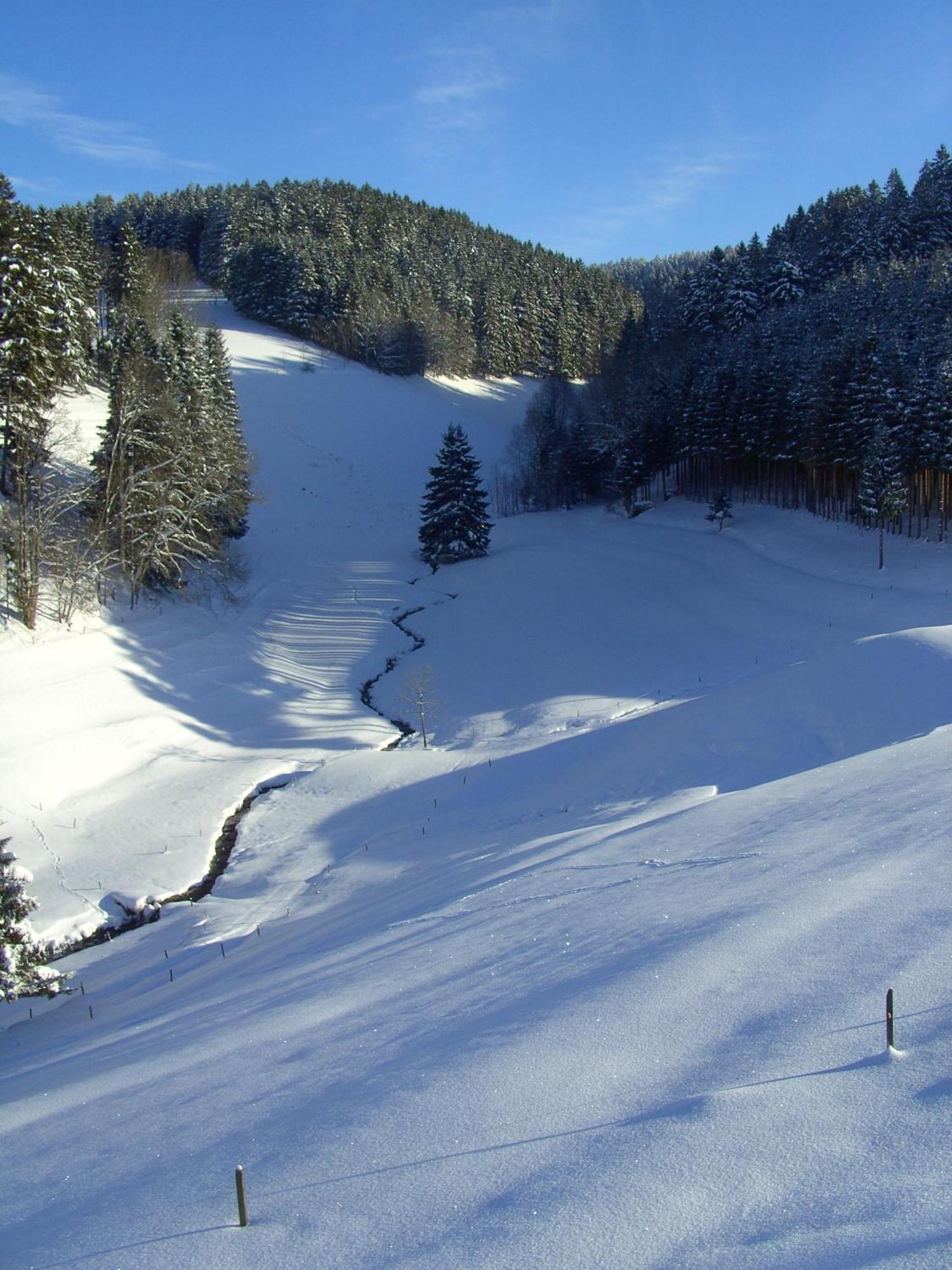 Thaelerhaeusle Hotel Furtwangen Bagian luar foto