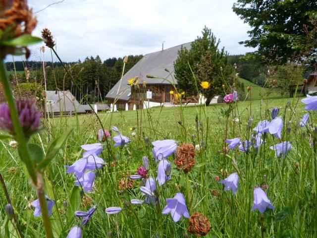 Thaelerhaeusle Hotel Furtwangen Bagian luar foto